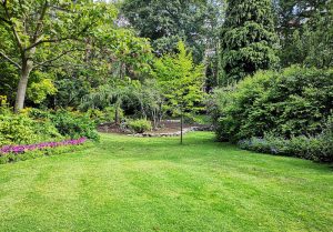 Optimiser l'expérience du jardin à Gircourt-les-Vieville